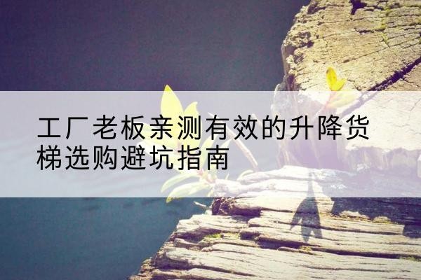 西夏升降货梯怎么选-工厂老板亲测有效的升降货梯选购避坑指南