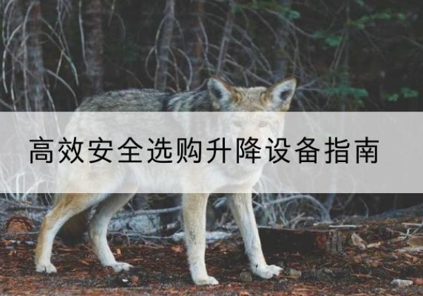 西夏升降货梯厂家推荐-*安全选购升降设备指南