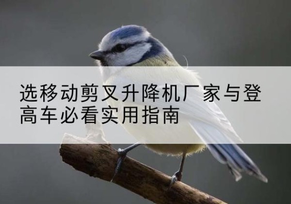 西夏电动升降机厂家-选移动剪叉升降机厂家与登高车必看实用指南