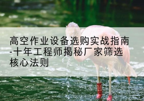 西夏剪叉式升降机厂家-高空作业设备选购实战指南-十年工程师揭秘厂家筛选核心法则